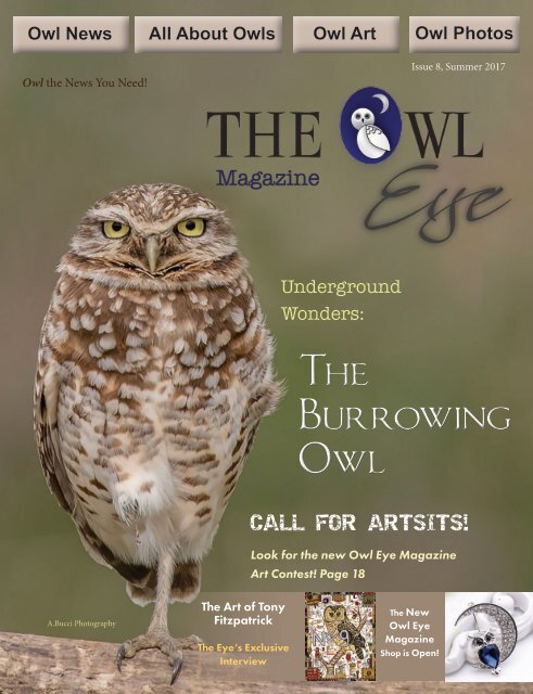 The Owl Eye Magazine Issue 8