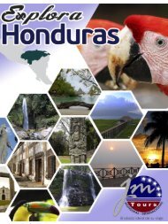 JM TOURS HONDURAS | INTERNACIONAL