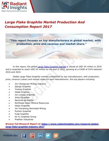 Large Flake Graphite Market Production And Consumption Report 2017 