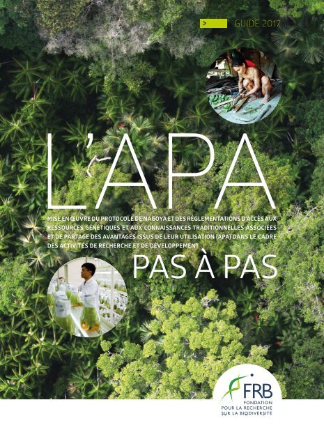 Guide-APA-2017