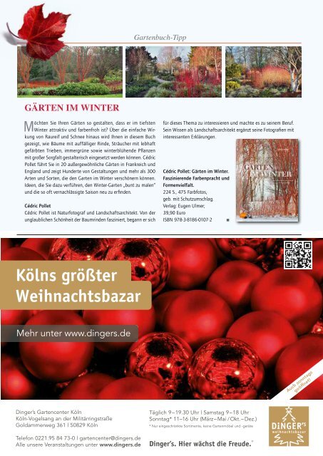 stadtMAGAZIN köln-süd | Ausg. Oktober-November 2017