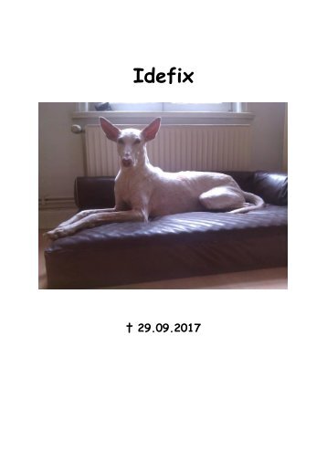 Idefix29092017