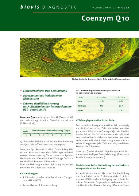 Biovis Labor