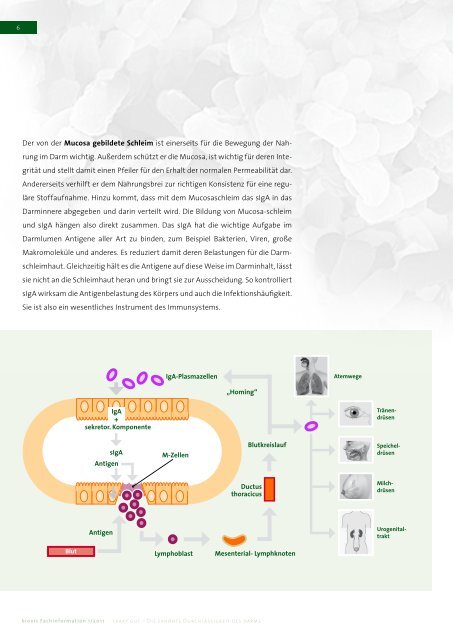 Biovis Labor