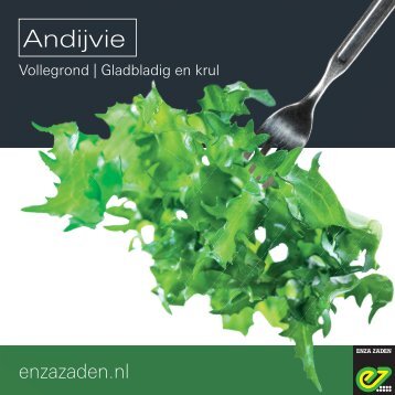 Leaflet Andijvie vollegronds 2017