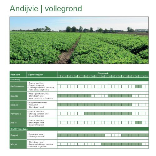 Leaflet Andijvie vollegronds 2017