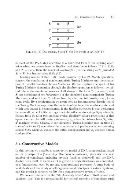 Theoretical and Experimental DNA Computation (Natural ...
