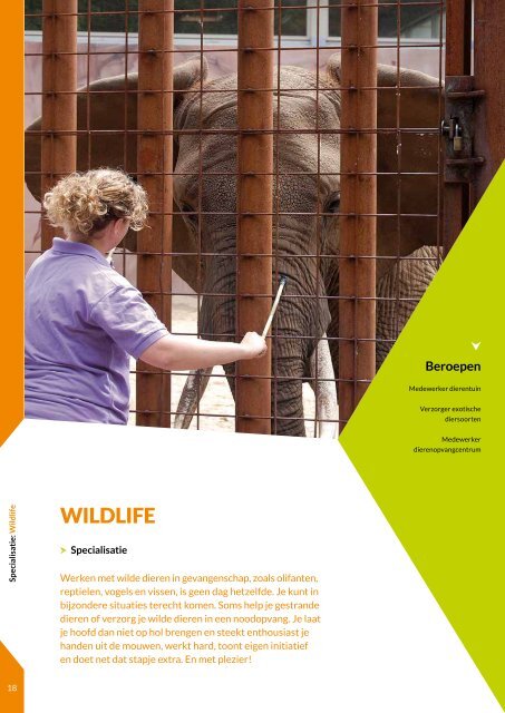 Brochure mbo Op weg naar jouw droombaan 2017-2018