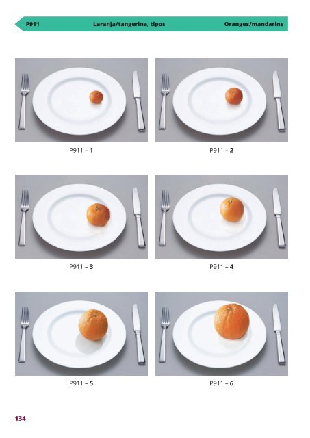 Manual Fotográfico de Quantificação Alimentar