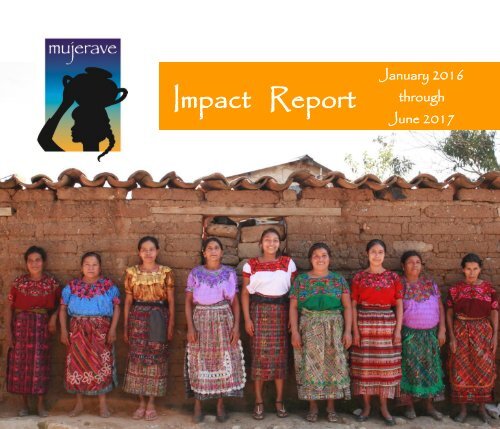 Impact Report 2016-2017