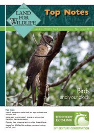 Grey Falcon Masked Owl (Tiwi Islands) Carpentarian Grasswren
