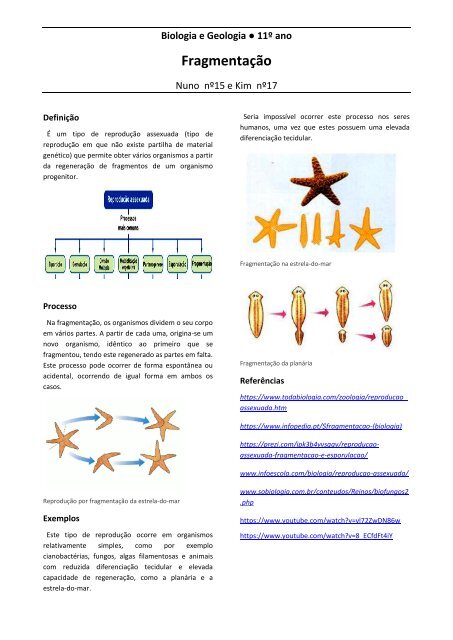 O Que é Fragmentação Biologia O Que é Fragmentação Biologia