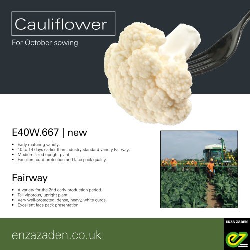 Cauliflower for October sowing