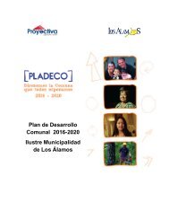 Pladeco 2016-2020