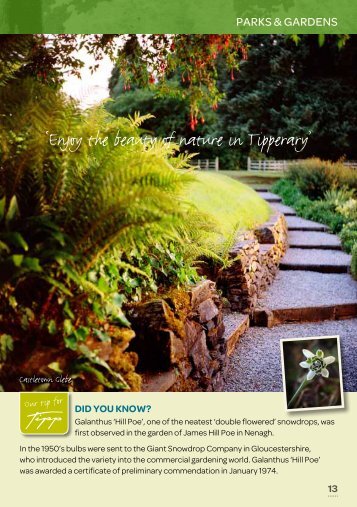 Gardens - Tipperary