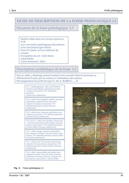 "Schnellert" (Commune de Berdorf) - Musée national d'histoire ...