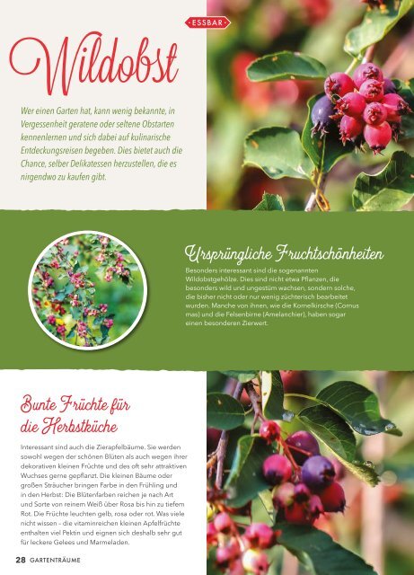 Gartenträume Magazin 3 | 2017