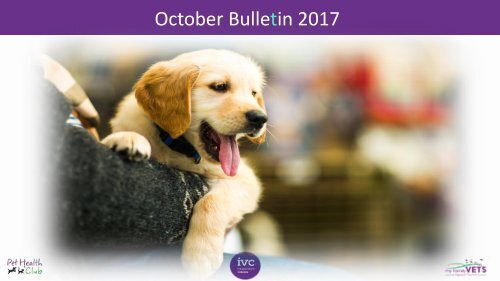 October 2017 Staff bulletin