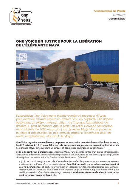 One voice en justice pour la libération de l'éléphante Maya