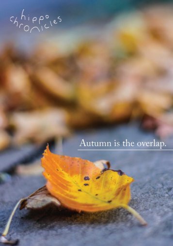 Hippo Chronicles Autumn