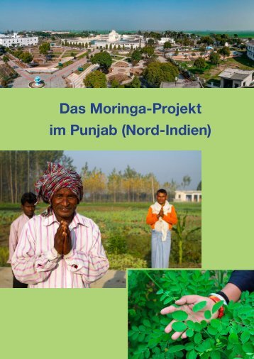 Das Moringa-Projekt im Punjab (Nord-Indien)