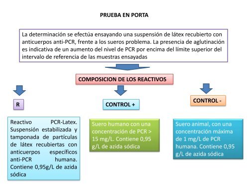 pruebasdeaglutinacionesenltexppp-101124180040-phpapp02