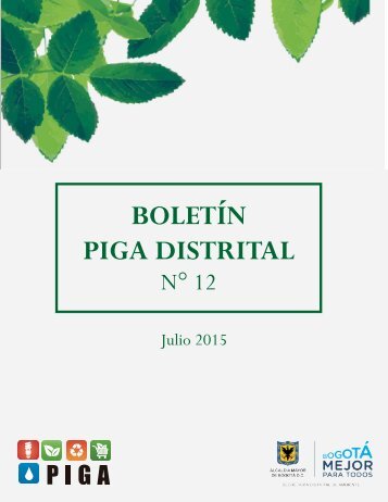 BOLETÍN PIGA DISTRITAL N° 12