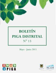BOLETÍN PIGA DISTRITAL N° 13