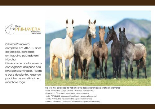 Catalogo Lavras 2017 NET