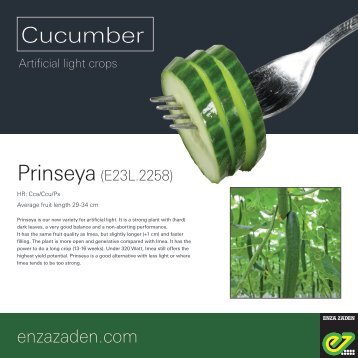 Leaflet Cucumber Prinseya Scandinavia