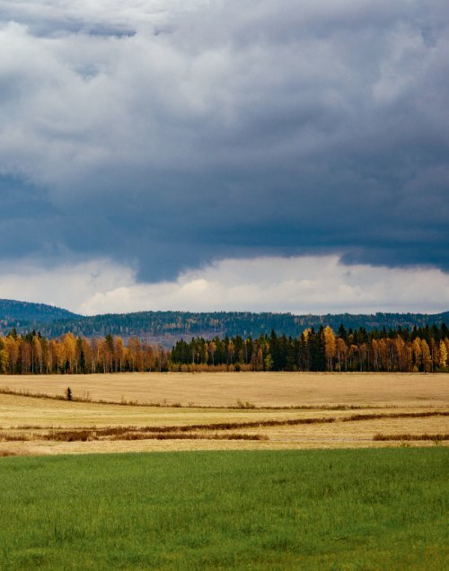 hungrig_på_västerbotten_Yumpu