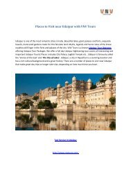 Places to Visit near Udaipur with VNV Tours