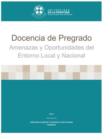 1er-Informe-Analisis-Entorno-Eje-Docencia-Pregrado