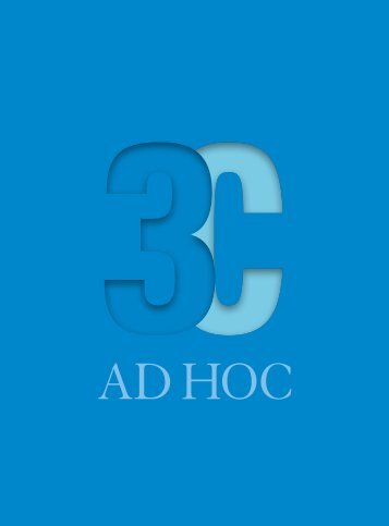 30 jahre Adhoc