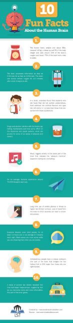 10 Fun Facts About the Human Brain