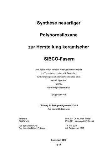 Synthese neuartiger Polyborosiloxane zur Herstellung keramischer ...