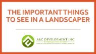 The Important Things to See in a Landscaper