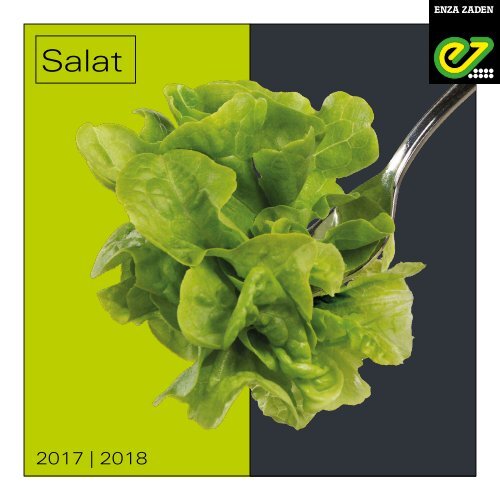 Salat 2017 I 2018