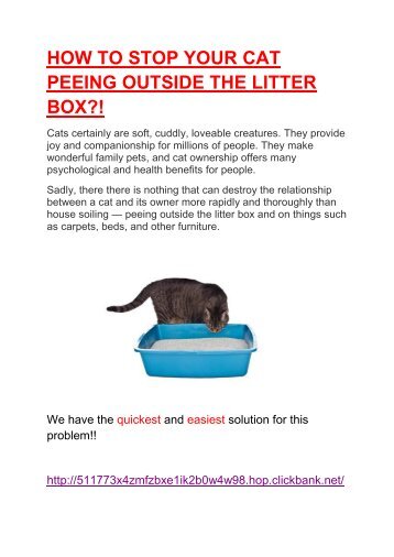 VET Reveals How to Stop Your Cat Peeing Outside the Litter Box PERMANENTLY!