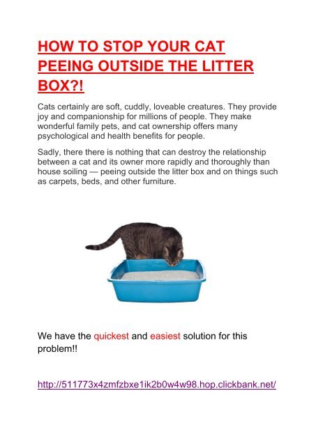 Cat stop peeing outside the litter box online