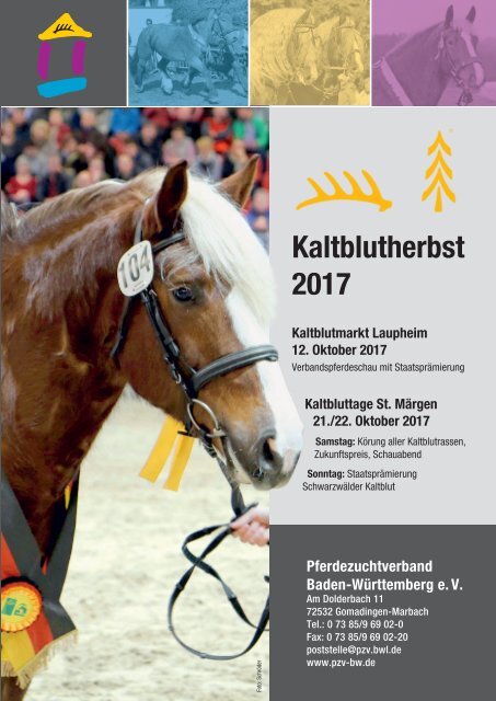 Kalblutherbst 2017: Körung St. Märgen - Stutenschau Laupheim