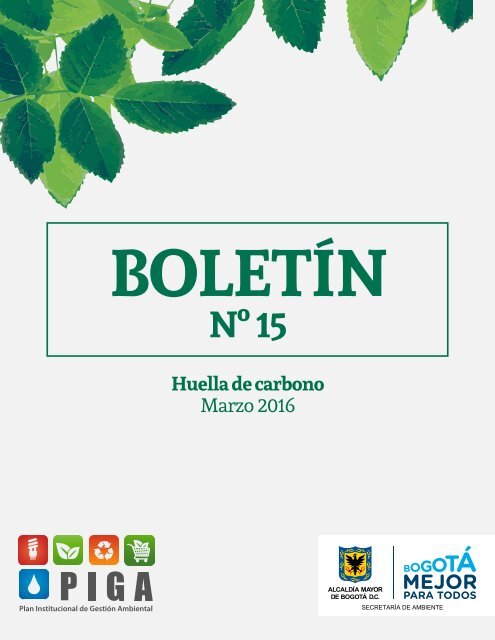 Boletín N°15