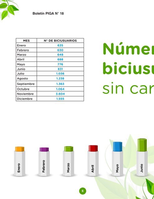 Boletín N° 18