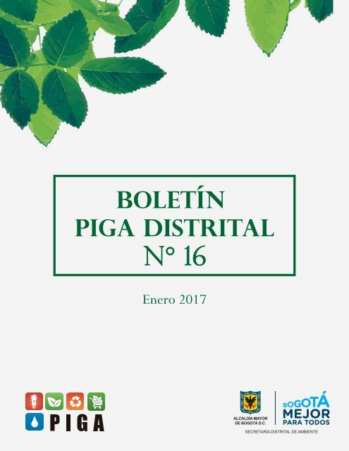 Boletin N° 16