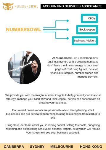 CFO Services Sydney | Numbersowl