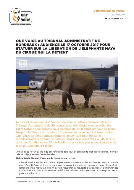 One Voice au tribunal administratif de Bordeaux Audience le 17 octobre 2017 pour statuer sur la libération de l&#039;éléphante Maya du cirque qui la détient