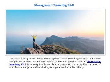 Management Consulting in UAE