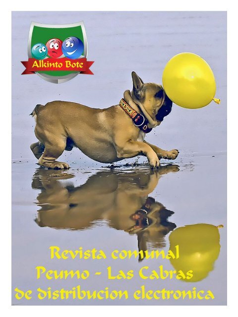 Revista Comunal lunes 16 de octubre de 2017