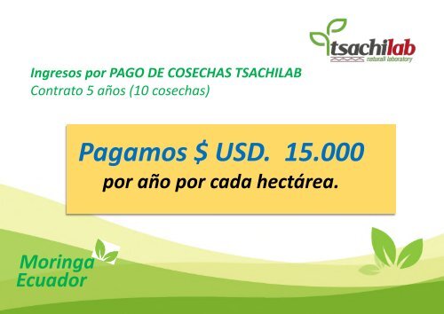 MORINGA ECUADOR TSachiLab 7500 Herrera