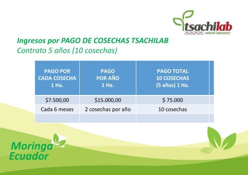 MORINGA ECUADOR TSachiLab 7500 Herrera